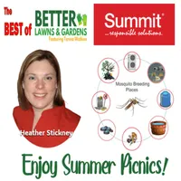 Better Lawns and Gardens artwork