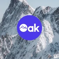 The Ski Podcast artwork