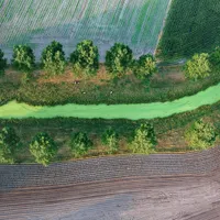 Wissenschaft im Brennpunkt artwork