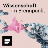 Wissenschaft im Brennpunkt artwork