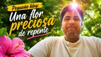 Narocky's Blog artwork