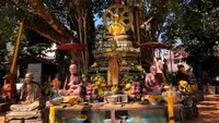 Bob Thurman Podcast: artwork