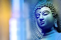 Bob Thurman Podcast: artwork
