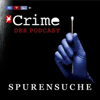 stern Crime - Spurensuche artwork
