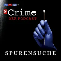 stern Crime - Spurensuche artwork