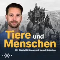 Terra X History - Der Podcast artwork