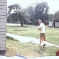 The Tobolowsky Files artwork