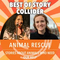 The Story Collider artwork