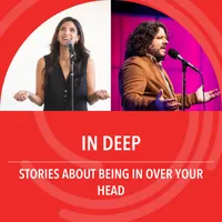 The Story Collider artwork