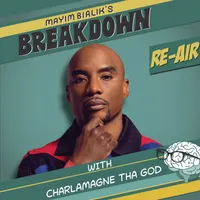 Mayim Bialik's Breakdown artwork