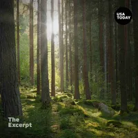 The Excerpt artwork