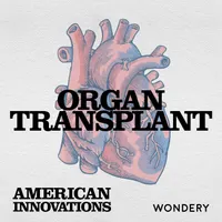 American Innovations artwork