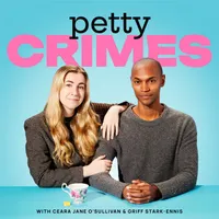 Petty Crimes artwork
