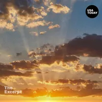 The Excerpt artwork