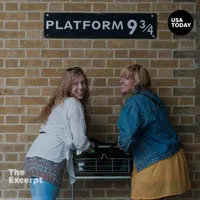 The Excerpt artwork