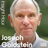 Insight Hour with Joseph Goldstein artwork