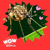 Wow in the World artwork