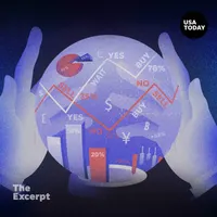 The Excerpt artwork