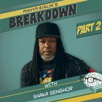 Mayim Bialik's Breakdown artwork