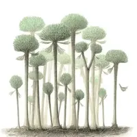 In Defense of Plants Podcast artwork