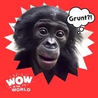 Wow in the World artwork