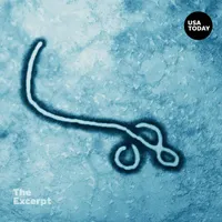 The Excerpt artwork