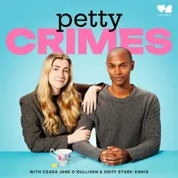 Petty Crimes artwork