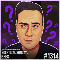 The Jordan Harbinger Show artwork