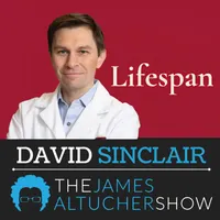 The James Altucher Show artwork
