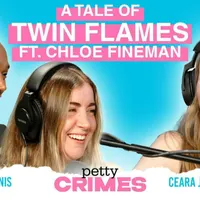 Petty Crimes artwork