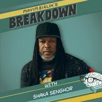 Mayim Bialik's Breakdown artwork