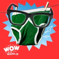 Wow in the World artwork