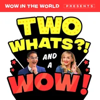 Wow in the World artwork