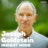 Insight Hour with Joseph Goldstein artwork