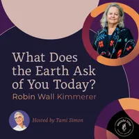 Sounds True: Insights at the Edge artwork