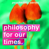 Philosophy For Our Times artwork