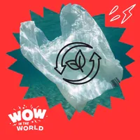 Wow in the World artwork