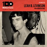 100 Words Or Less: The Podcast artwork