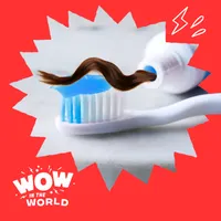 Wow in the World artwork