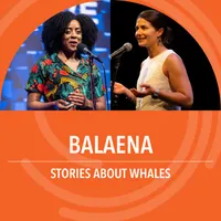 The Story Collider artwork