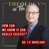 Theology in the Raw artwork