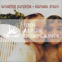 1001 Album Complaints artwork