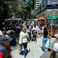 Los Columnistas de Mesa Central artwork