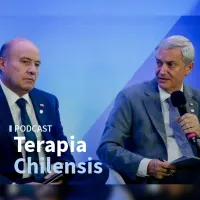 Terapia Chilensis artwork