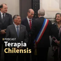Terapia Chilensis artwork