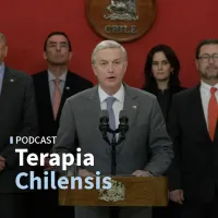 Terapia Chilensis artwork