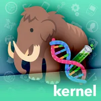Kernel artwork
