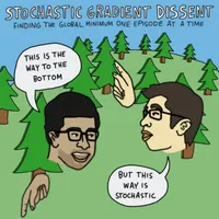 Stochastic Gradient Dissent artwork