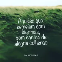 Devocional Diário artwork