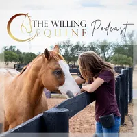 The Willing Equine artwork